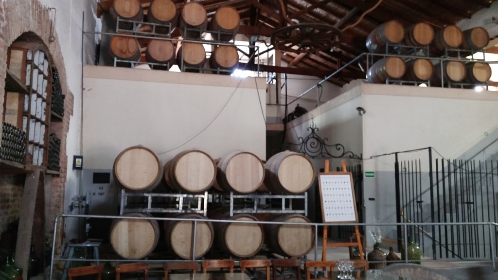 BodegaCecchinOrganico