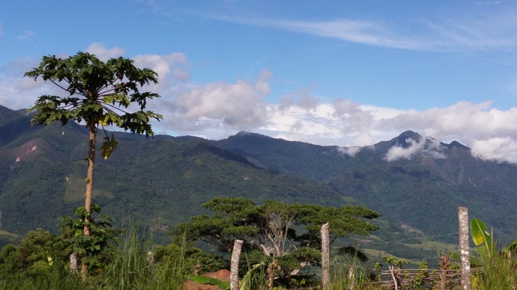 CordilleraEscalera