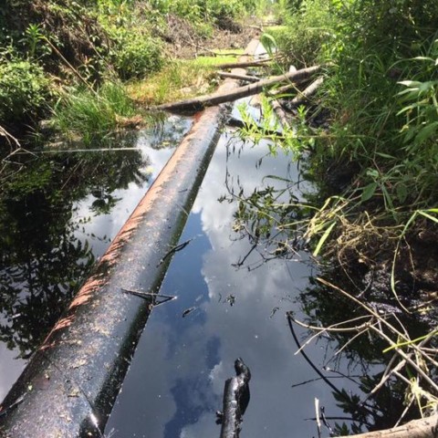 Amazon Oil Spills